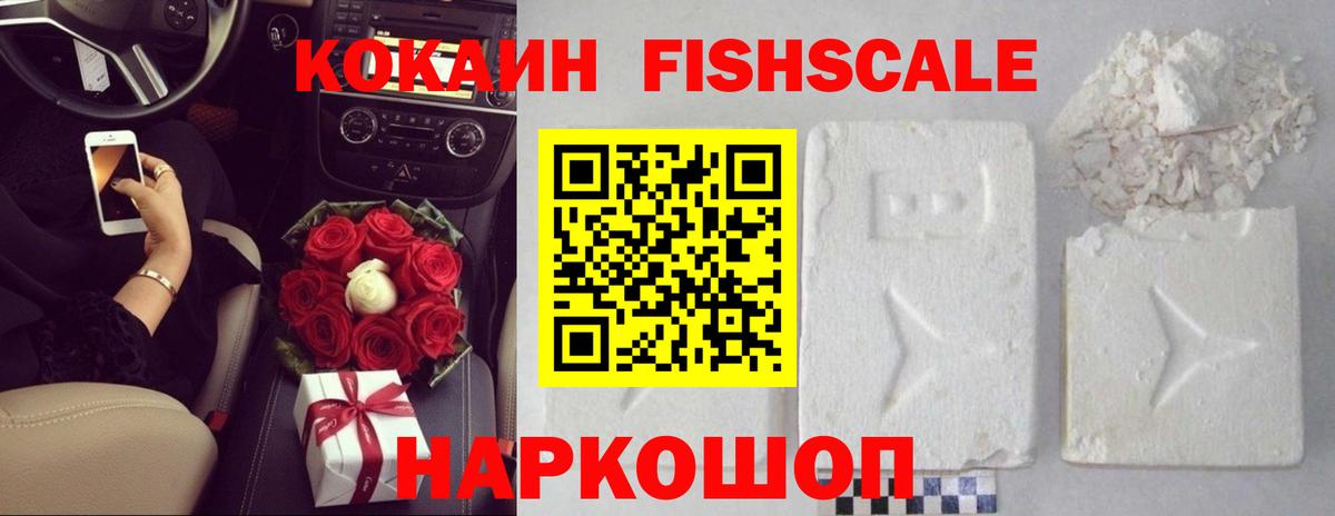 Ирбит  Кокаин Fish Scale  COCAIN VHQ  Вход с VPN 