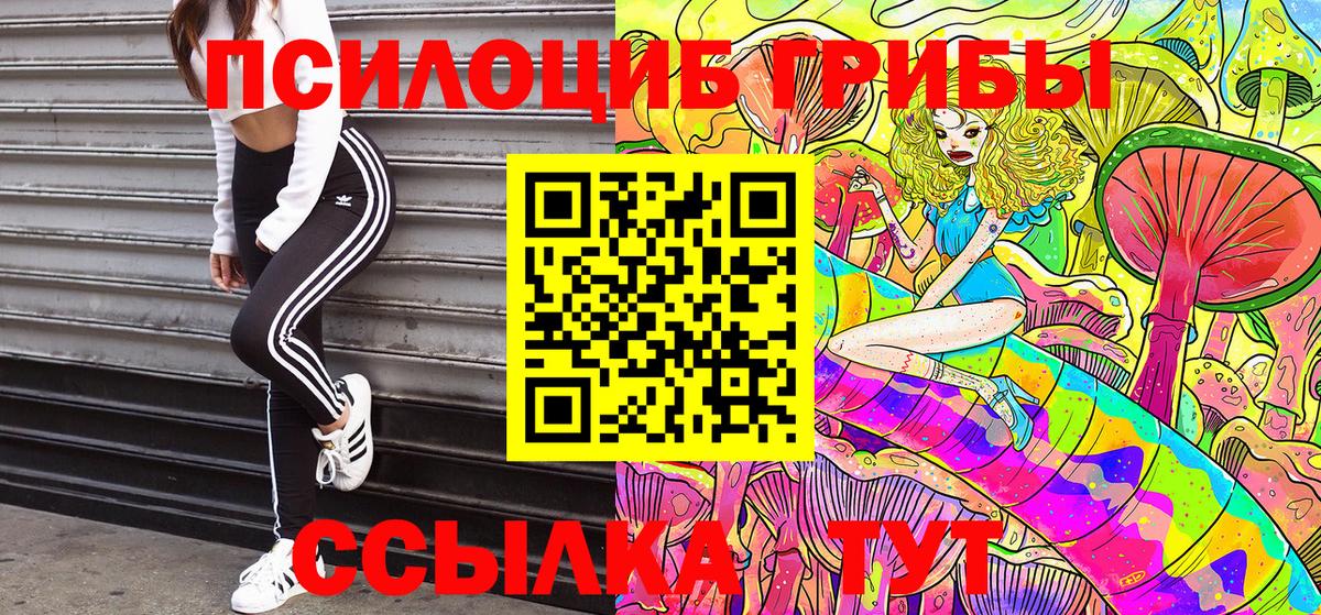 Ирбит  Псилоцибиновые грибы мухоморы  Вход с VPN 