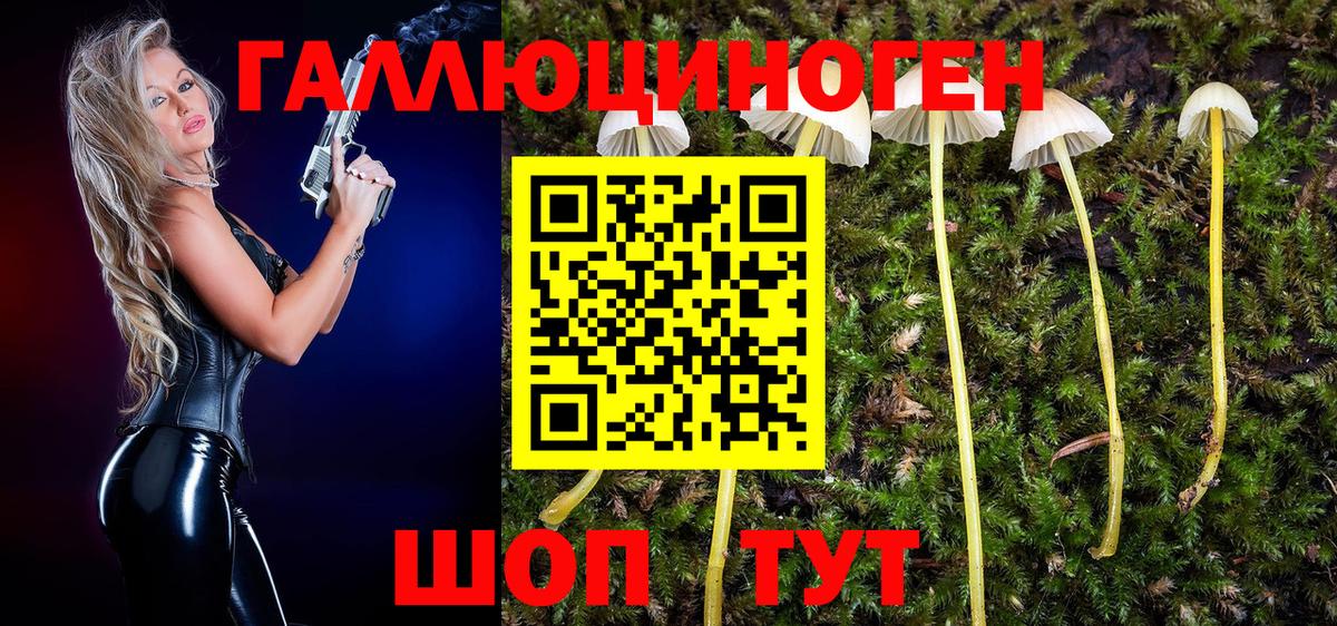 Псилоцибиновые грибы прущие грибы Ирбит
